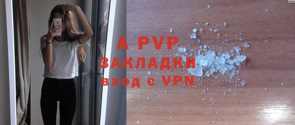 прущий лед Ладушкин