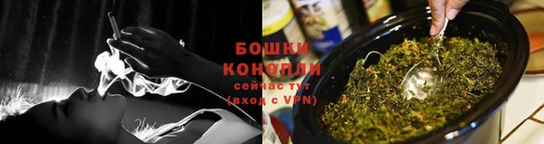 спайс Лагань