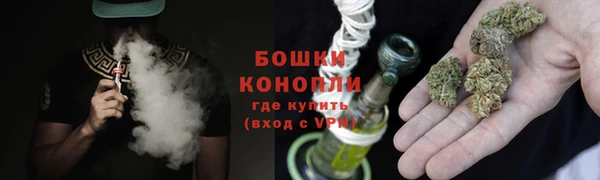 спайс Лагань