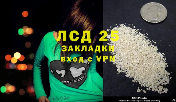 спайс Лагань