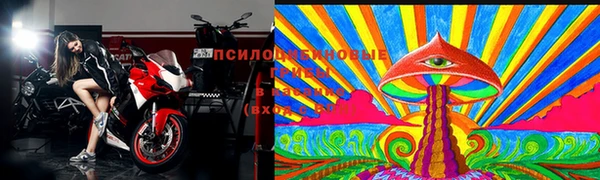 прущий лед Ладушкин