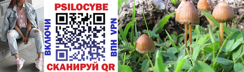 Псилоцибиновые грибы MAGIC MUSHROOMS  магазин продажи   Малгобек 